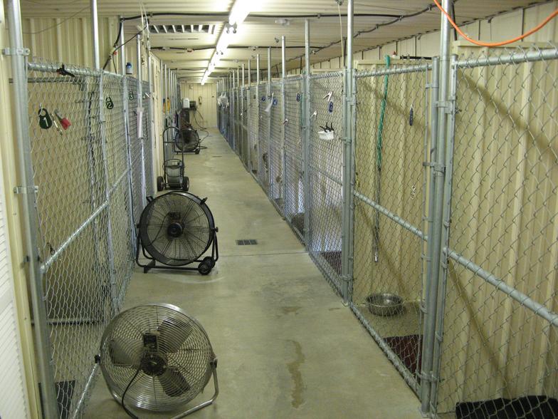 cozy kennels