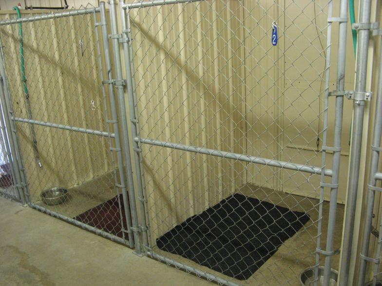 cozy kennels